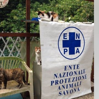 Savona, taglio del nastro per la nuova struttura Enpa. L'Osservatorio Animalista: "Inaugurazione impropria, non ci sarà chi l'ha voluta e realizzata" Savona, taglio del nastro per la nuova struttura Enpa. L'Osservatorio Animalista: "Inaugurazione impropria, non ci sarà chi l'ha voluta e realizzata"