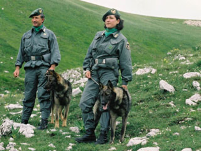 Dego: ritrovata l'anziana scomparsa ieri pomeriggio in località Porri Dego: ritrovata l'anziana scomparsa ieri pomeriggio in località Porri