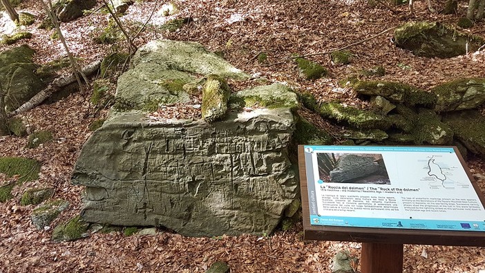 Pietre incise: le faggete del Beigua nascondono la storia antica del Geoparco