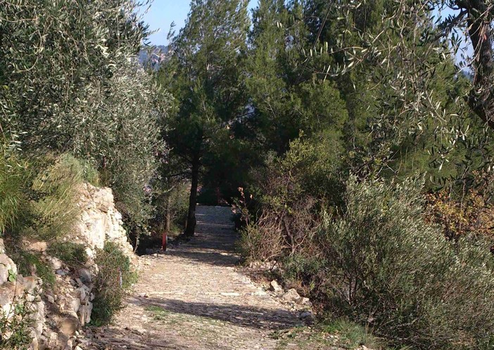 Andora: riapre dopo il recupero conservativo l'antica strada per Rollo Andora: riapre dopo il recupero conservativo l'antica strada per Rollo