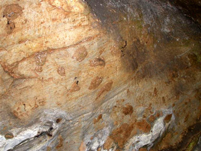 La lunga storia della vite e dell’uomo in Liguria