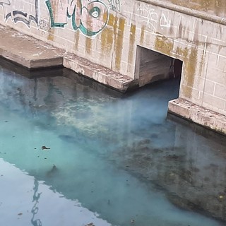 Savona, sversamento di una sostanza blu alla foce del Letimbro: Arpal al lavoro (FOTO e VIDEO) Savona, sversamento di una sostanza blu alla foce del Letimbro: Arpal al lavoro (FOTO e VIDEO)