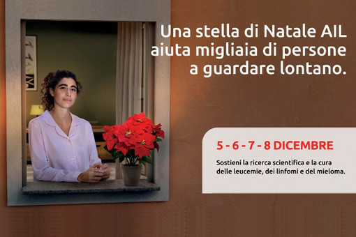 A Loano tornano le &quot;Stelle di Natale&quot; Ail che aiutano la ricerca scientifica