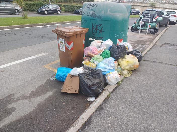 "Il sistema non funziona: Savona è una discarica a cielo aperto non solo per colpa dei cittadini indisciplinati" "Il sistema non funziona: Savona è una discarica a cielo aperto non solo per colpa dei cittadini indisciplinati"