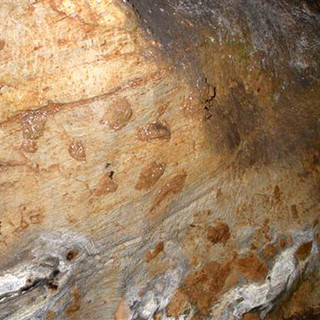 La lunga storia della vite e dell’uomo in Liguria