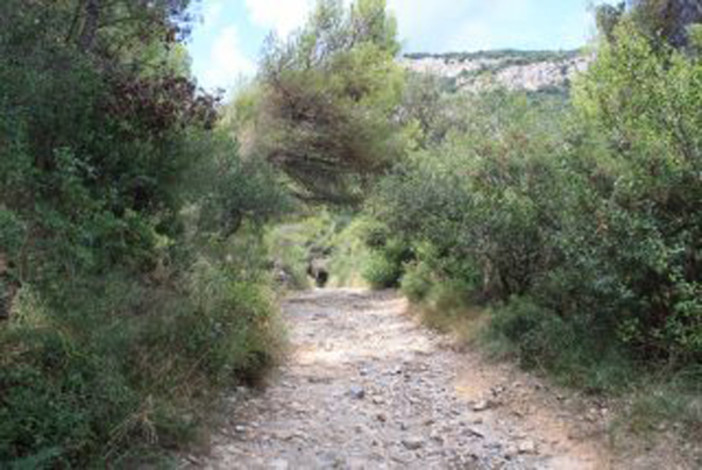 Si chiama #BorgioVerezziSentieri il nuovo sito per l’outdoor Si chiama #BorgioVerezziSentieri il nuovo sito per l’outdoor