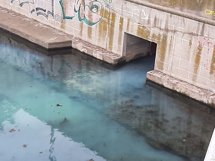 Savona, sversamento di una sostanza blu alla foce del Letimbro: Arpal al lavoro (FOTO e VIDEO) Savona, sversamento di una sostanza blu alla foce del Letimbro: Arpal al lavoro (FOTO e VIDEO)