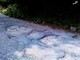 Strada Provinciale 23 del Melogno: si aprirà uno spiraglio a partire da aprile? Strada Provinciale 23 del Melogno: si aprirà uno spiraglio a partire da aprile?