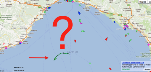 Che fa la "nave del petcoke" partita da Savona quasi ferma in mezzo al santuario dei cetacei?