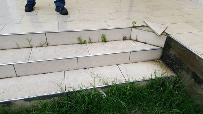 Scuole di Campochiesa d'Albenga, la rabbia dei genitori: "Il giardino resta pericoloso"