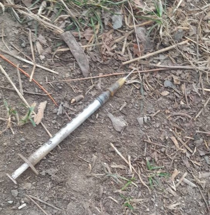 Carcare, siringhe e preservativi abbandonati in zona Bugile. Mirri: "Abbiamo allertato Sat per ripulire l'area" Carcare, siringhe e preservativi abbandonati in zona Bugile. Mirri: "Abbiamo allertato Sat per ripulire l'area"