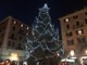 Savona, si accendono le luci sull’albero di Natale di piazza Sisto