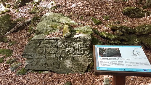 Pietre incise: le faggete del Beigua nascondono la storia antica del Geoparco Pietre incise: le faggete del Beigua nascondono la storia antica del Geoparco
