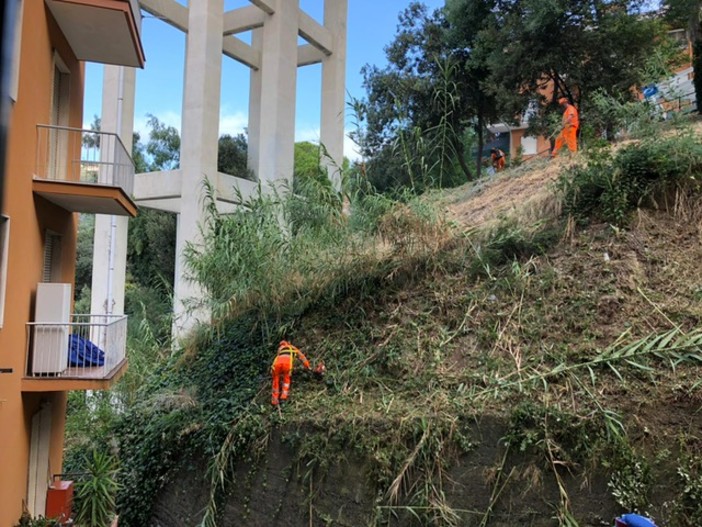 Nelle foto: le operazioni di sfalcio e le trattative con il funzionario di Autostrade per far eseguire lavori più accurati sul sito