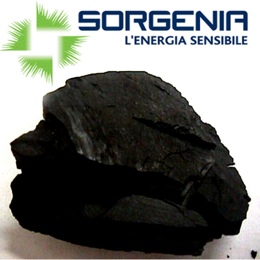 Sorgenia (l'energia sensibile) manda allo sbaraglio il suo General Manager per difendere il carbone a Vado Sorgenia (l'energia sensibile) manda allo sbaraglio il suo General Manager per difendere il carbone a Vado