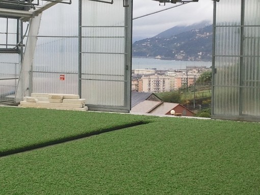 Albenga: "Serre Smart" per il controllo e la gestione dell'efficienza energetica nelle colture Albenga: "Serre Smart" per il controllo e la gestione dell'efficienza energetica nelle colture