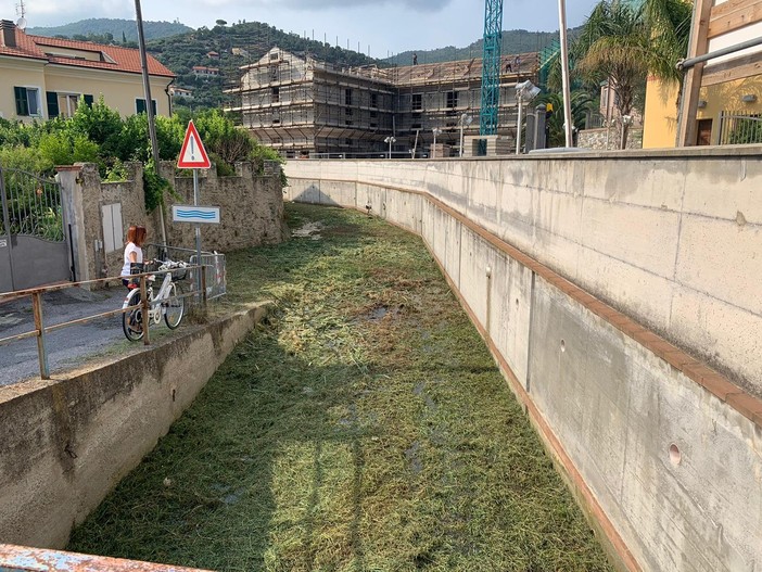 Nelle due foto: i primi interventi di pulizia sugli alvei Nelle due foto: i primi interventi di pulizia sugli alvei