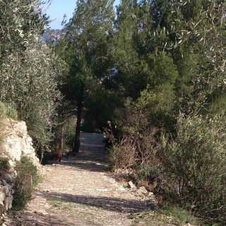 Andora: riapre dopo il recupero conservativo l'antica strada per Rollo