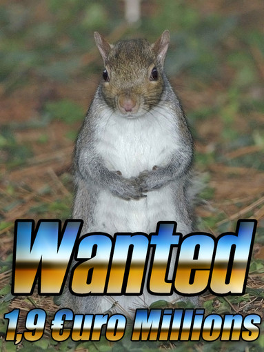 Soldi spesi bene: 1,9 Milioni di Euro per "eliminare lo scoiattolo estero"