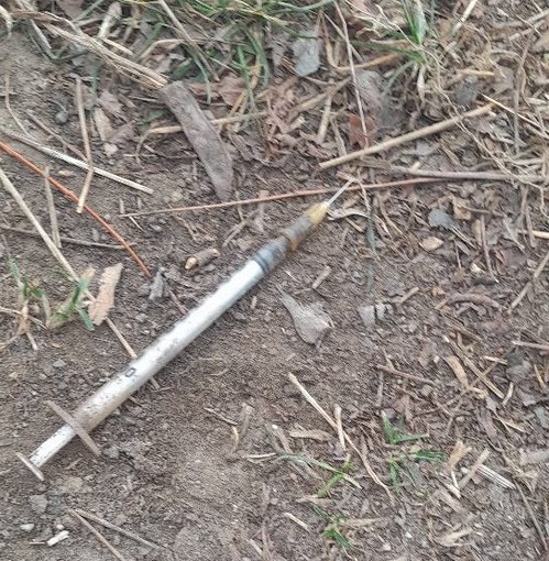 Carcare, siringhe e preservativi abbandonati in zona Bugile. Mirri: "Abbiamo allertato Sat per ripulire l'area"