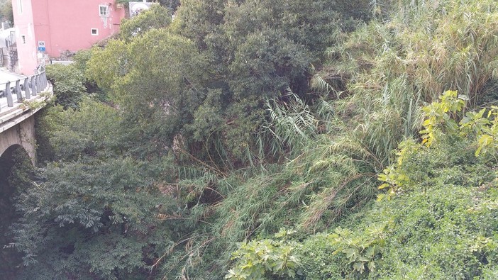 Alassio, proseguono gli interventi si pulizia di rii e torrenti Alassio, proseguono gli interventi si pulizia di rii e torrenti