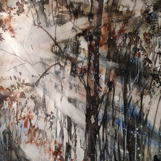 Nuova mostra nelle "Vetrine d'Autore" di Banca Carige a Savona: a settembre c'è Imamami