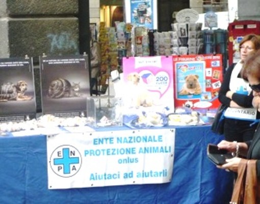 Savona, calendari-bestiali per aiutare gli animali alla fiera di Santa Lucia