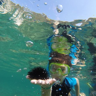 Pietra Ligure, al via sulle spiagge libere attrezzate di levante il progetto “Mare per tutti – Tutti per mare”