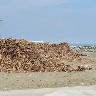 Cataste legname ad Albissola Marina, minoranza all'attacco:"Unico comune a non averle rimosse" Cataste legname ad Albissola Marina, minoranza all'attacco:"Unico comune a non averle rimosse"