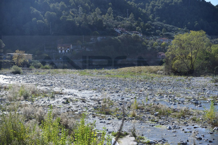Foto d'archivio