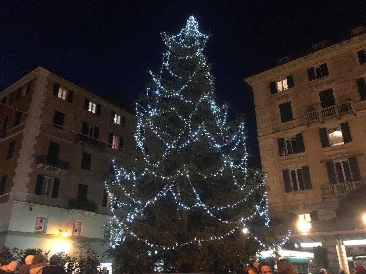 Stella Di Natale Parodi.Savona Si Accendono Le Luci Sull Albero Di Natale Di Piazza Sisto Savonanews It