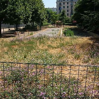 L'ENPA replica ai savonesi che hanno "boicottato" l'area cani: "Chi è causa del mal suo..."