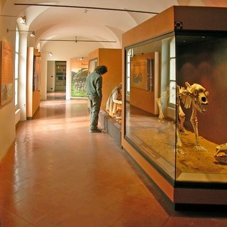 Finalborgo, un laboratorio didattico per bambini al Museo Archeologico