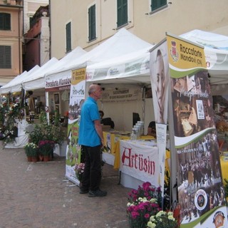 Grande successo per la 3° Edizione del Salto dell’Acciuga a Laigueglia