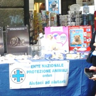 Santa Lucia animalista in Provincia di Savona