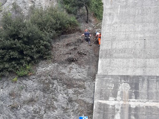 Savona, i rocciatori al lavoro per la frana in Lungomare Matteotti (FOTO)