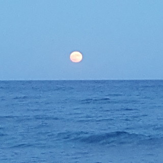 Spettacolo nel cielo di Pietra Ligure con la "Luna Fragola" (FOTO) Spettacolo nel cielo di Pietra Ligure con la "Luna Fragola" (FOTO)