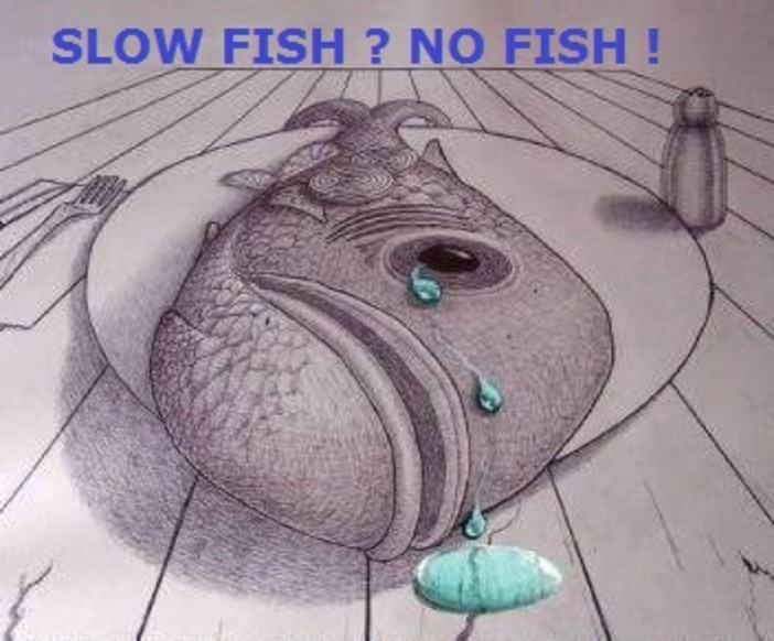 La Protezione Animali savonese: "SlowFish? No Fish"