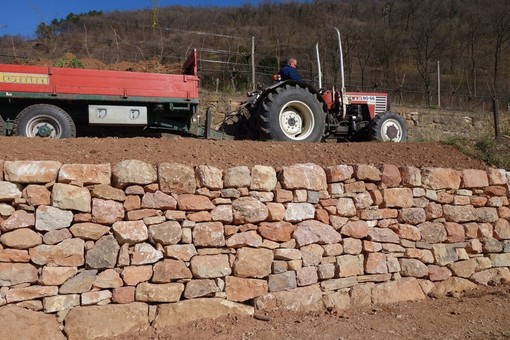 Muretti a secco, oltre 1.300 domande per il bando di Regione Liguria Muretti a secco, oltre 1.300 domande per il bando di Regione Liguria