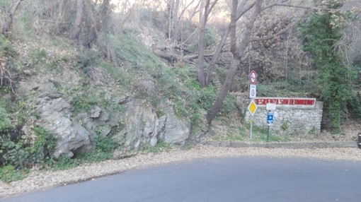 Immagine di repertorio