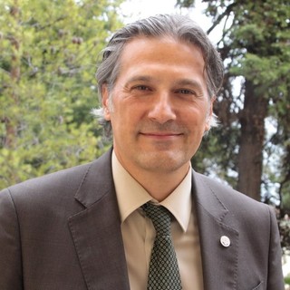 Passaporto verde Xylella, assessore Mai: "Non si dovranno etichettare tutti i vasi"