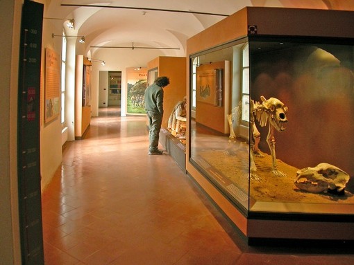 Finalborgo, un laboratorio didattico per bambini al Museo Archeologico