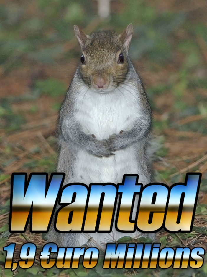 Soldi spesi bene: 1,9 Milioni di Euro per "eliminare lo scoiattolo estero"