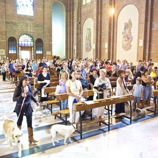 Laigueglia, rinviata la "Benedizione degli Animali"