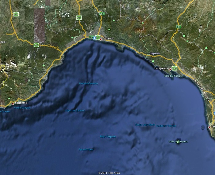 Oggi in mare galleggia un po' di tutto