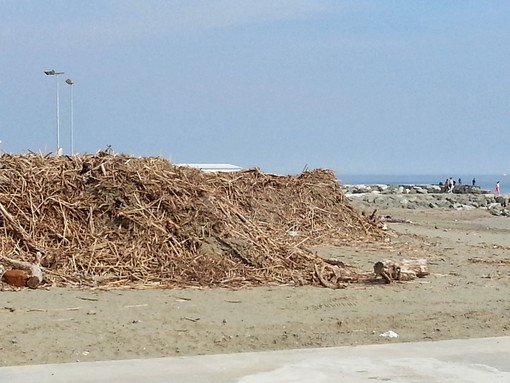 Cataste legname ad Albissola Marina, minoranza all'attacco:"Unico comune a non averle rimosse" Cataste legname ad Albissola Marina, minoranza all'attacco:"Unico comune a non averle rimosse"