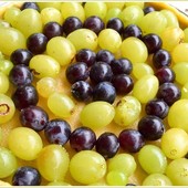 Tarte aux raisins Tarte aux raisins