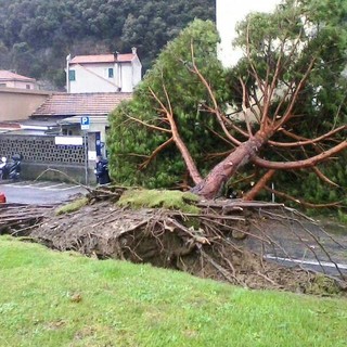 “Bufera di Natale”, emanato lo stato di allerta 2: il vento di burrasca ha raggiunto in Provincia di Savona i 100 km/h