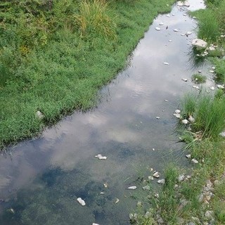 Finale, mozione dei consiglieri di minoranza in merito allo sversamento illecito nelle acque del torrente Pora