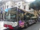 To Nite Bus Savona, 2.600 passeggeri trasportati dalla movida. L'assessore Lugaro: &quot;Cittadini attenti alla mobilità sostenibile&quot;